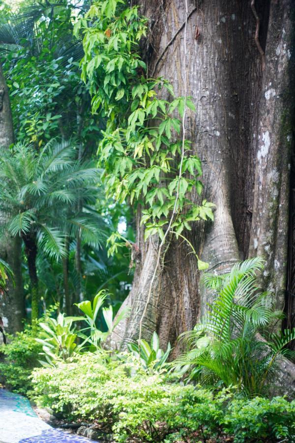 Waterfront Hotel Verde Mar Nationalpark Nationalpark Manuel Antonio Exterior foto